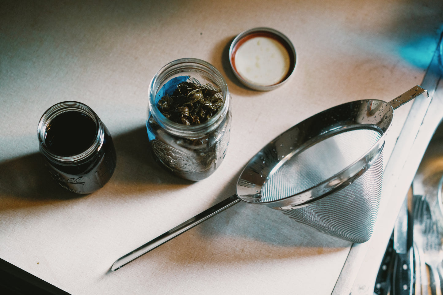 Plantain Salve "Bug Balm"