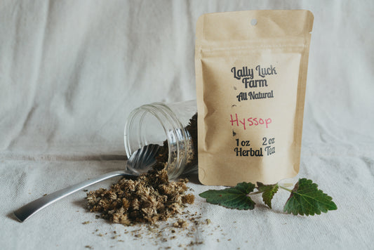 Hyssop Tea